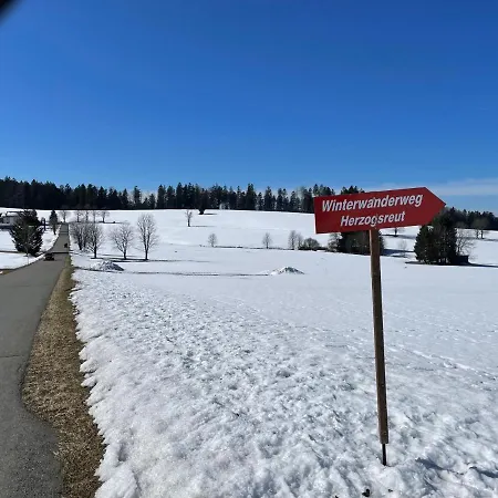 Apartman * Herzogsreut